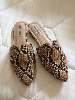 Steve Madden Tan & Black Snake-Print Pointed Slide Mules